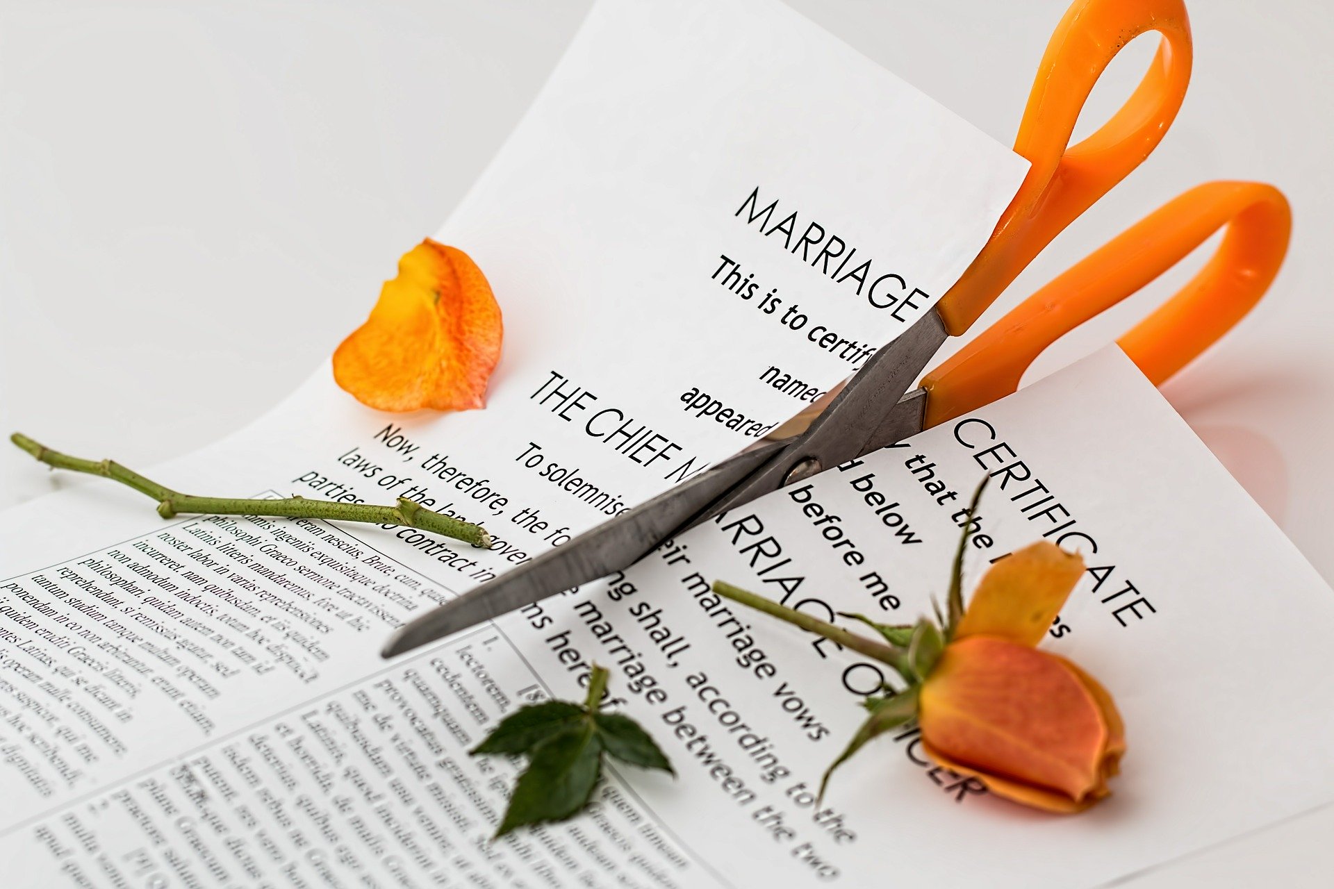 Los casos más comunes de los abogados de familia: Divorcio express y Herencias